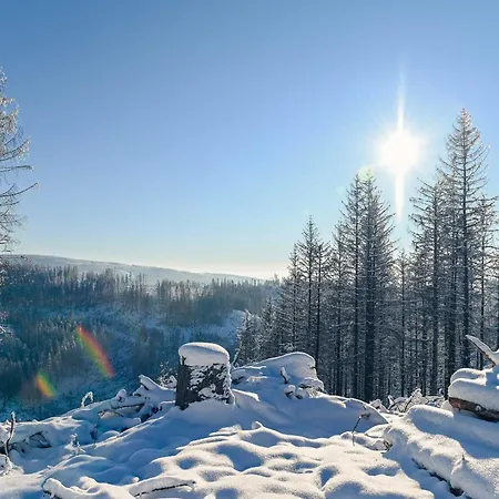Tiny Village Harz - Sleep Space 36