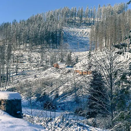 Tiny Village Harz - Sleep Space 36 *